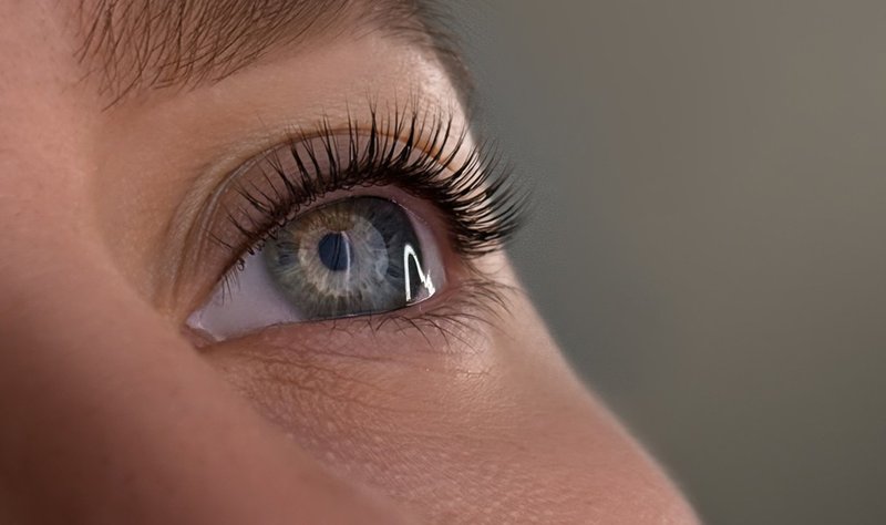 Межресничка